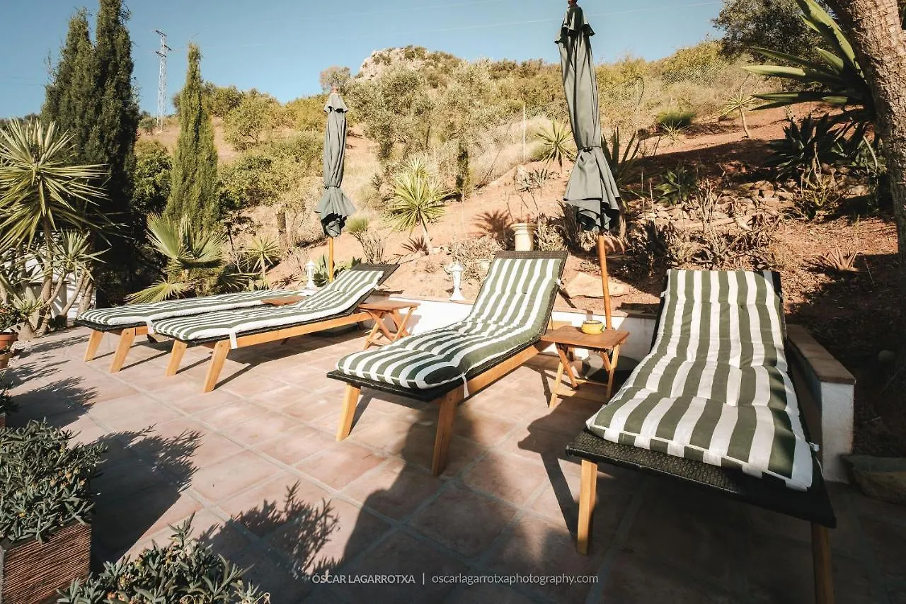 B&B Cortijo Loma Leon Cutar Bed & Breakfast